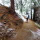 Illustration for article titled Mailbox Peak - True Suffering